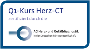 Q1 Kurs Herz CT