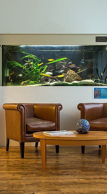 Radiologie in Ingolstadt | Diagnosticum Bayern Mitte